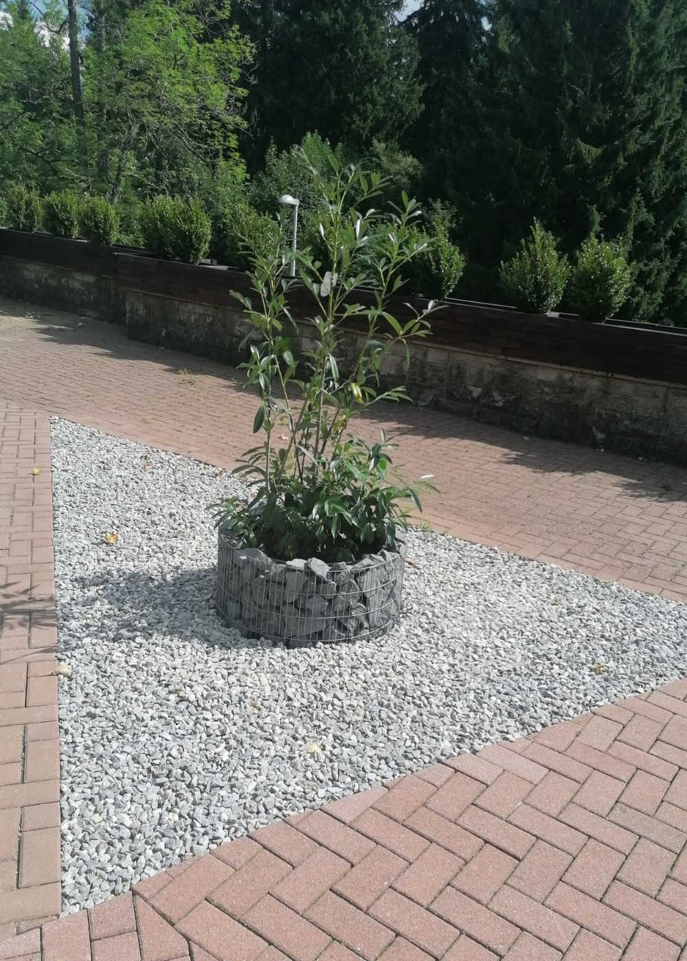 ALBRECHT Garten und Landschaftsbau Gabionen / Steinkörbe